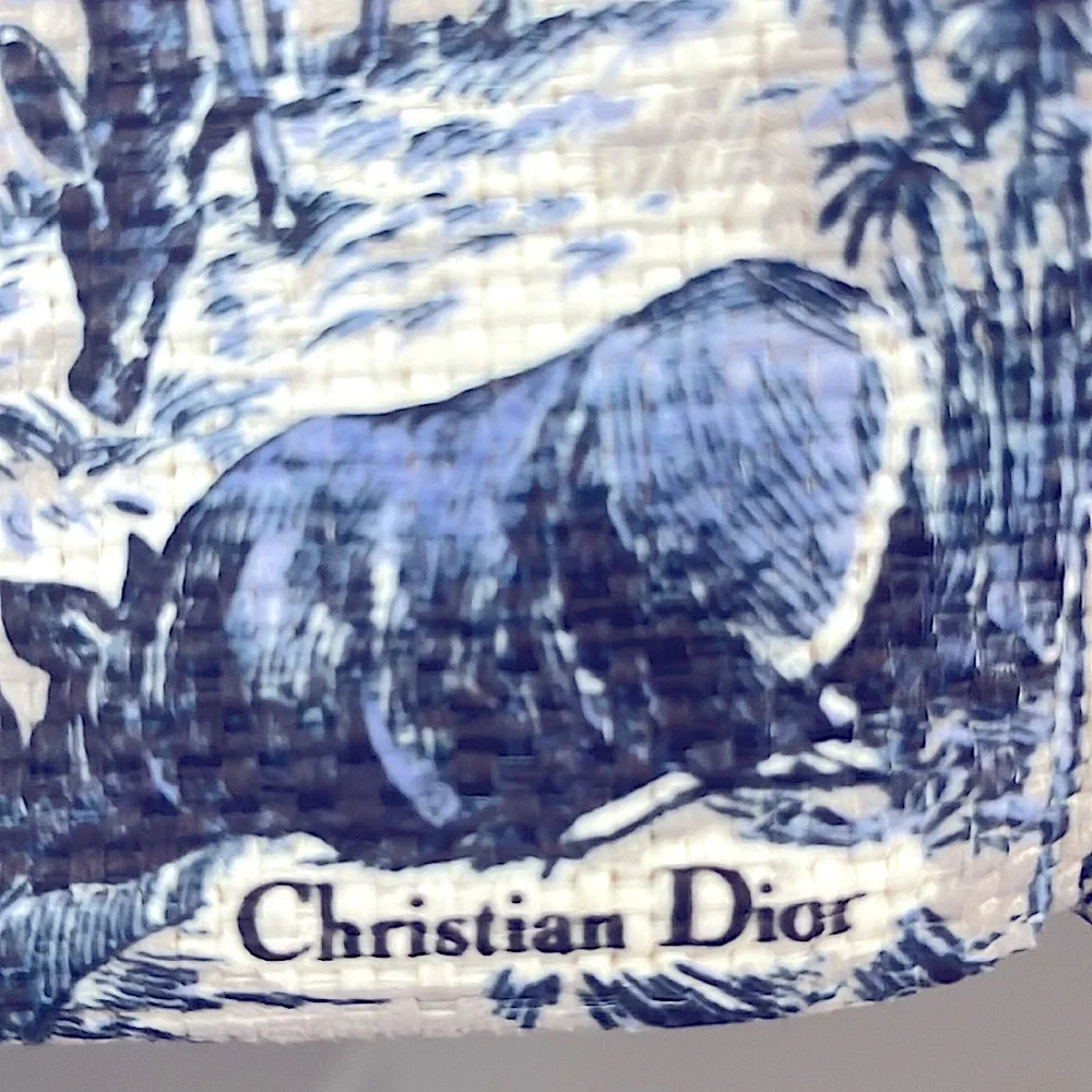 💙🤍 NWOT Christian Dior Limited Edition tote - Picture 5 of 8
